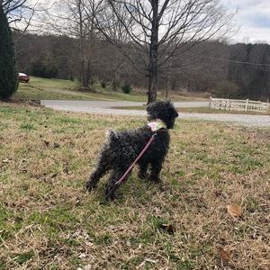 Meet your Posher, Jesica